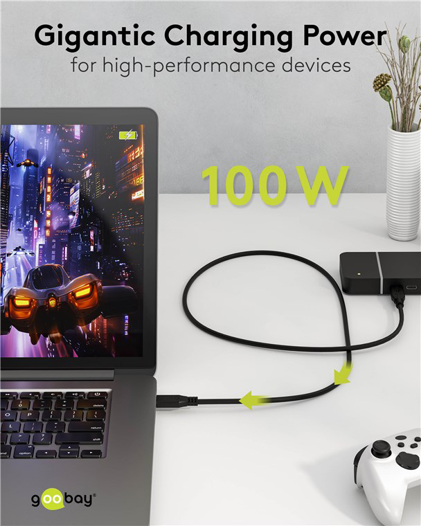 GOOBAY καλώδιο USB-C 74198, USB4, 100W, 20Gbps, 4K/60Hz, 3m, μαύρο - Image 4